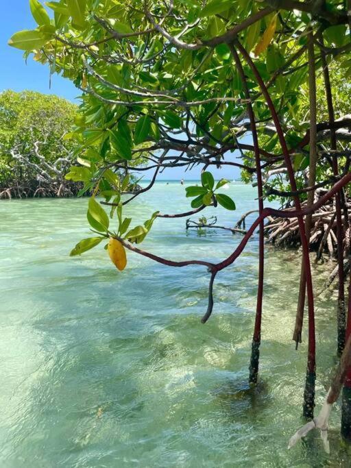 Апартаменты Les Pieds Dans L'Eau Chez Syl Ле-Муль Экстерьер фото