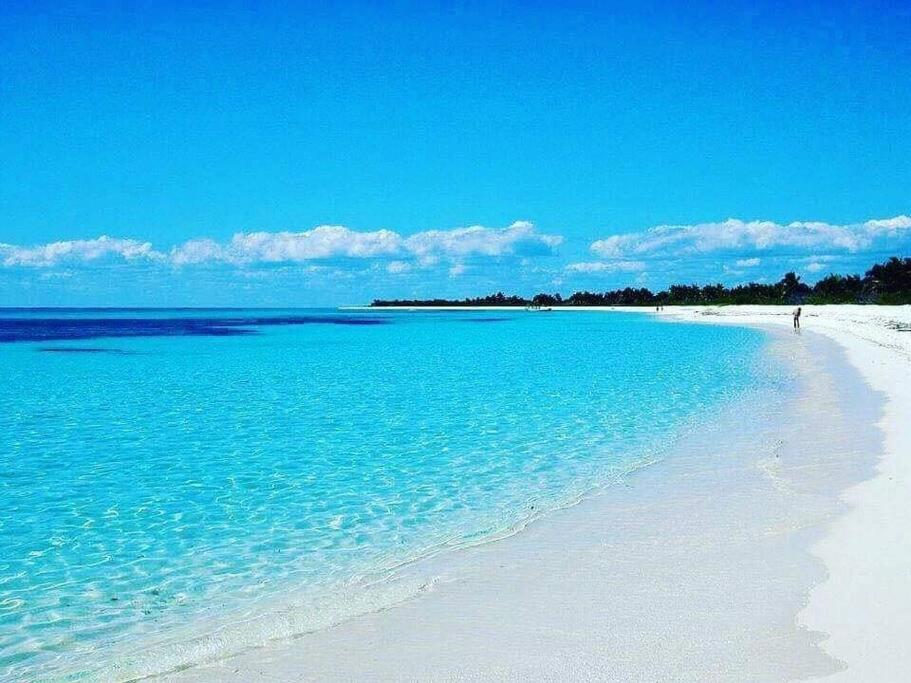 Апартаменты Les Pieds Dans L'Eau Chez Syl Ле-Муль Экстерьер фото