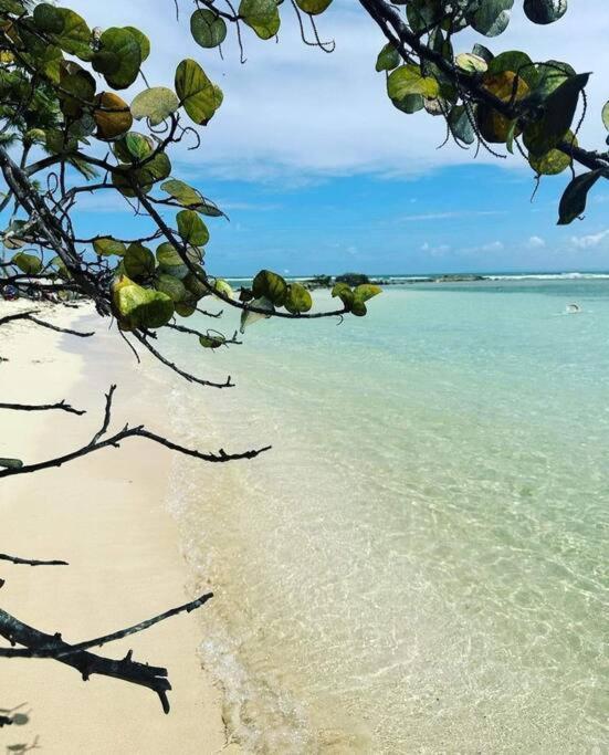 Апартаменты Les Pieds Dans L'Eau Chez Syl Ле-Муль Экстерьер фото